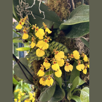 live_Good_Morning_Meditation__20240308_063009