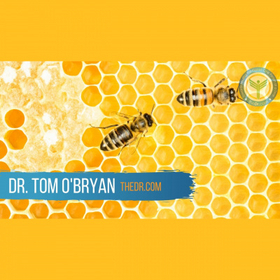 Dr. Tom Obryan You Can Fix Your Brains Podcast