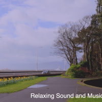 Road sound, ducks, birds background noise - Calming sound - 3 Hours