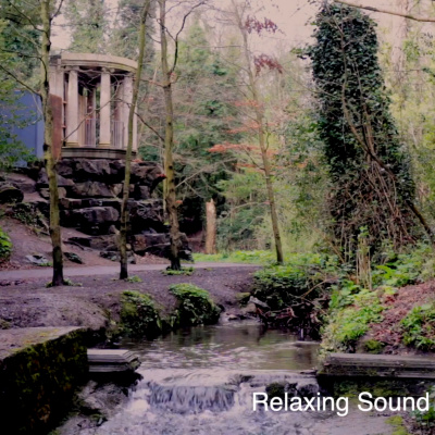 Relaxing Nature Sounds