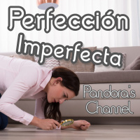 Desventajas de la perfección
