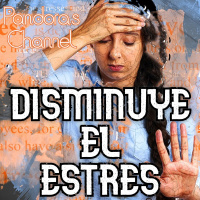 7 Tips para disminuir el estrés y la ansiedad.