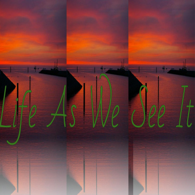 Life As We See It