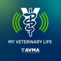 Living Her Dream in Veterinary Medicine with Dr. Alicia Ruiz