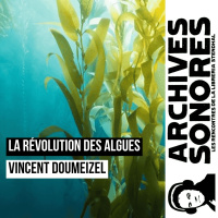 Vincent Doumeizel - La révolution des algues