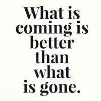 Freestyle- The Transition 