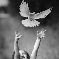 Temperance is Free...