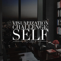 Visualization Challenge: Self to Self