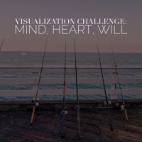 Visualization Challenge: Heart, Mind, Will