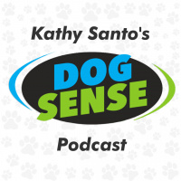 Kathy Santos Dog Sense Episode 10: A Day In The Life Of A KSDT Puppy