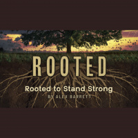Rooted to Stand Strong - Audio