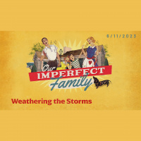 Weathering the Storms - Audio