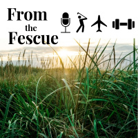 Episode 0 - Introduction 