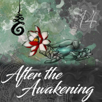 Session Fourteen – After the Awakening