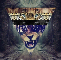 U-RUSH - Live@Krysha restaurant (27.06.2019)