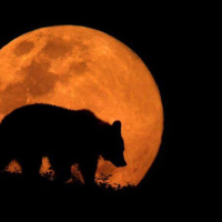 Luz interior (enfoque y entorno)