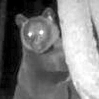 Luz que no alumbra (cristiano protestando)