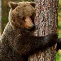 Renunciando A Lo Mejor Por Lo Extraordinario