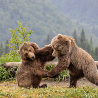 ¡No sé qué hacer! Lucha De Voluntades