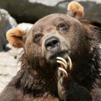 El Olvido Hace la Diferencia