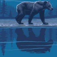 Caminando Sobre Las Sombras