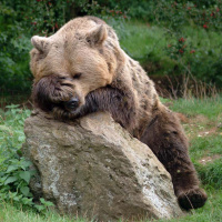 La Trampa De La Verguenza