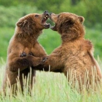 El Gobernador y El ciego (Fuerza y Fortaleza)