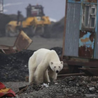 El Camino de la Miseria