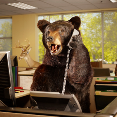 Enseñanzas De Un Oso