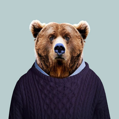 Enseñanzas De Un Oso