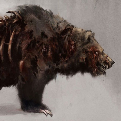 Enseñanzas De Un Oso