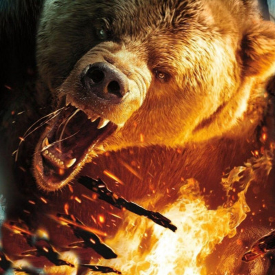 Enseñanzas De Un Oso