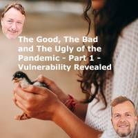The good, the bad and the ugly of the pandemic Part 1 - Vulnerability Revealed