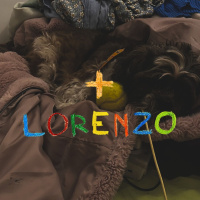 Lorenzo