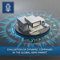 Evaluation of Dynamic Companies in the Global HEMS Market