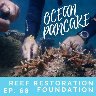 Ocean Pancake Podcast