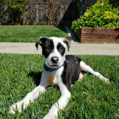 Building An Indie Business