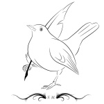 Francesco Merli - Piumenere Podcast