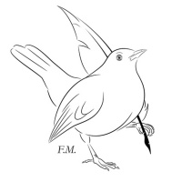 Francesco Merli: Il mestiere del vivere (estratto silloge: E nel silenzio ho sentito la notte)