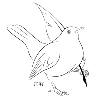 Francesco Merli - Sonetto XV - William Shakespeare