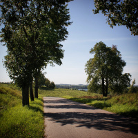 #79: S16 przez Mazury i Biebrzę