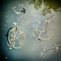 #52: Pandemia a mobilność