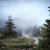 #35,5: Przerwa urlopowa