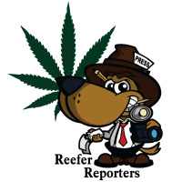 Reefer Reporters - 02-04-19