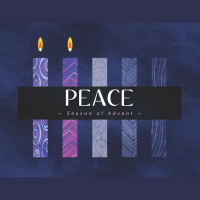 Childrens Nativity 2019 - Matthews Side of the Story - Rev. Rhonda Hermann