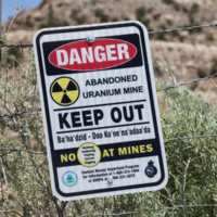 BREAKING: CHILDREN EXPOSED TO RADIATION AT GRAND CANYON MUSEUM - EXPOSURE EXCEEDED 4000 TIMES THE SAFE LIMIT