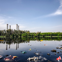 #2 Manusia adalah virusnya???