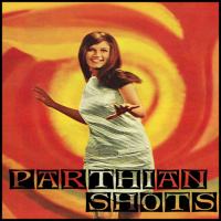 PARTHIAN SHOTS: REFLECTIONS