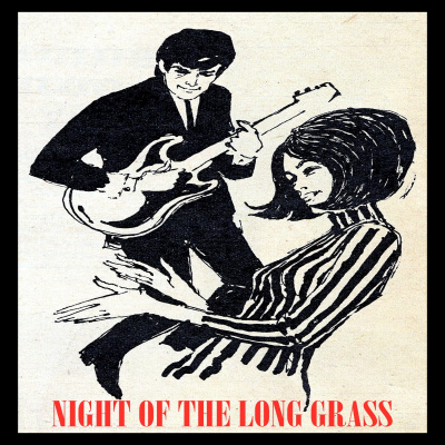 Night Of The Long Grass