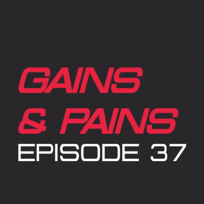 Gains  Pains